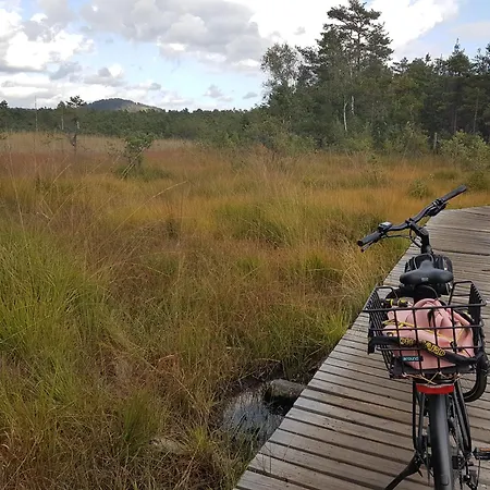 U Lekninu Vakantiehuis