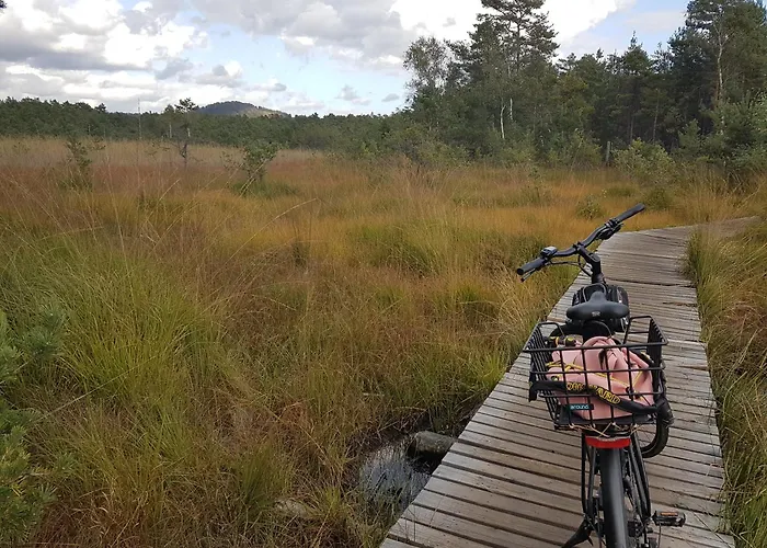 U Lekninu Vakantiehuis